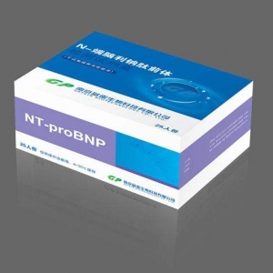 �X���c��/����ĩ���X���c��ǰ�w�z�yԇ��ע�Լ��g(sh��)����ָ��(d��o)ԭ�t