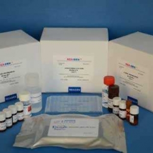 ���נ����ؙz�yԇ��ע�Լ��g(sh��)����ָ��(d��o)ԭ�t