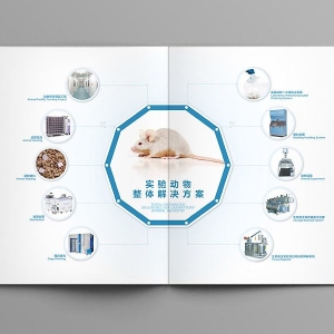 �t(y��)����е�����о����g(sh��)����ָ��ԭ�t ��һ���֣��Q��ԭ�t