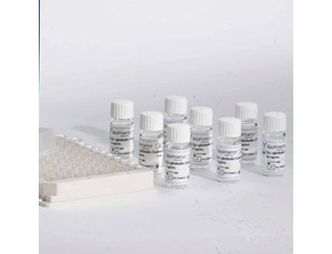 ���T�����ᰱ���D(zhu��n)��ø�y��ԇ��ע�Լ��g(sh��)����ָ��(d��o)ԭ�t