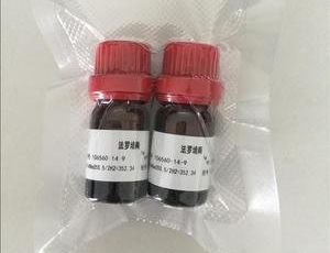 ����y��ԇ��ע�Լ��g(sh��)����ָ��(d��o)ԭ�t