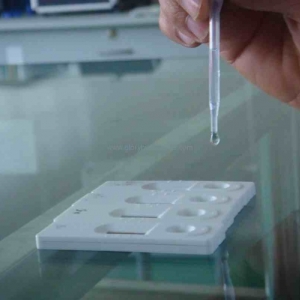 ���ڼ�(x��)���ɹ�ԭλ�s���������Ⱦɫ�w�����z�yԇ��ע�Լ��g(sh��)����ָ��(d��o)ԭ�t