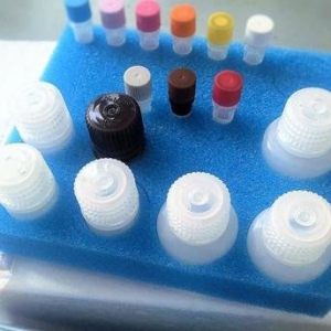 �������������غ���z�yԇ��ע�Լ��g(sh��)����ָ��(d��o)ԭ�t