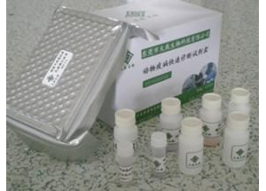 �����ᡢ��A����������ͪ�z�yԇ��ע�Լ��g����ָ��ԭ�t